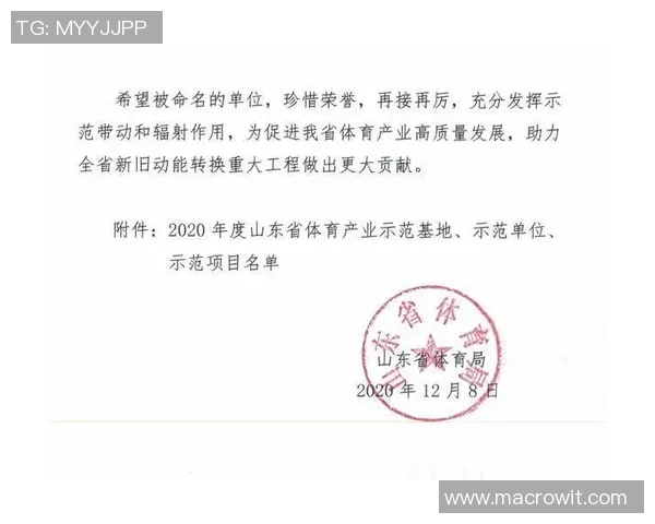 山东省体育明星综合排名及其影响力分析报告