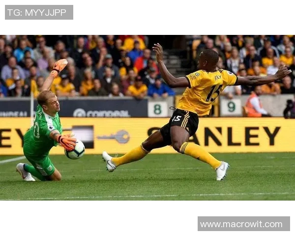 足球明星背影图文素材全景展示与创意灵感分享