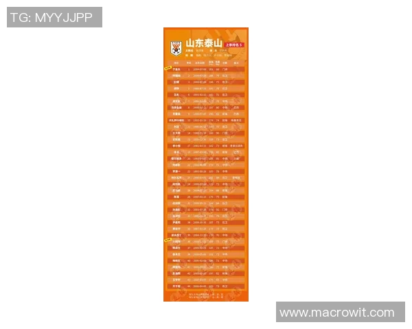 中国足球明星大赏排名揭晓谁将成为新一代球坛传奇之星