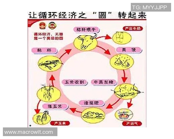 节能环保体育馆建设中的可持续发展实践探索与创新路径研究