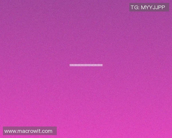 西班牙篮球明星的辉煌历程与对全球篮球的深远影响